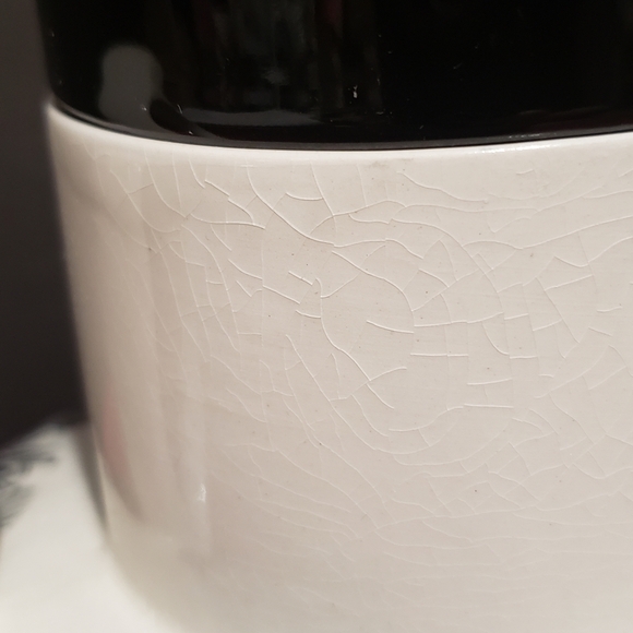 Vintage Coffee Tea Pot Staffordshire Wildwind - Picture 6 of 10